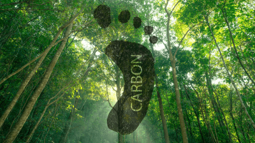 Conformidade ambiental e Selo Verde como valor estratégico com Aldo Vendramin.