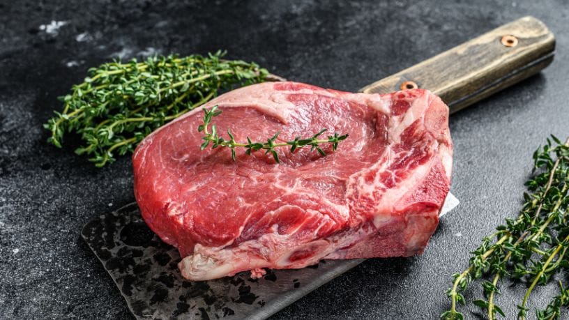 União Europeia e carne do Brasil: o impacto das novas exigências no agronegócio brasileiro União Europeia e carne do Brasil: o impacto das novas exigências no agronegócio brasileiro
